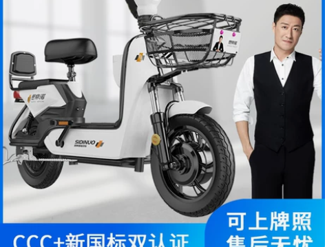 思帝诺新国标48V新款电动车电动自行车小型...