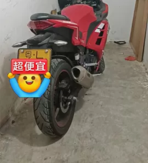 国产小忍者2600元，要过户，也可以置换踏...