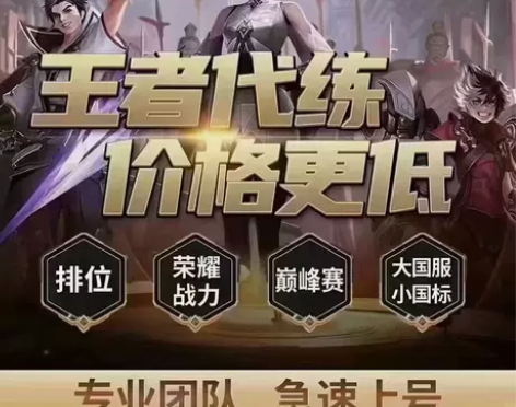 王者荣耀代练排位上分百星王者巅峰千强金标省...