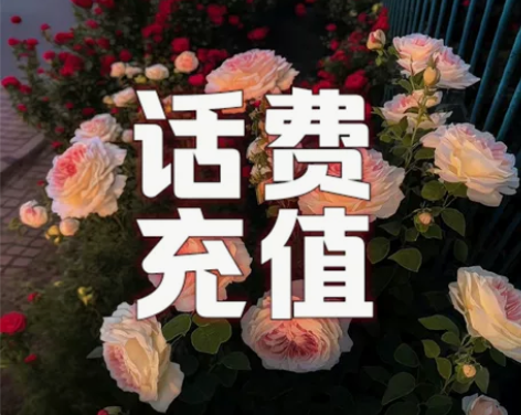 全国移动，电信，联通 话费充值 95充10...