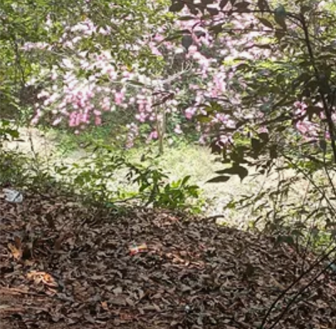 800充一千话费 天津 浙江 福建三网联通...