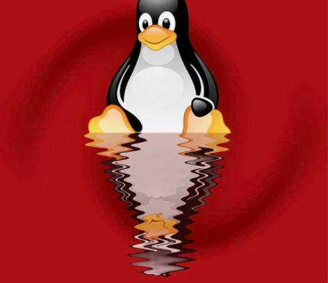 Linux系统咨询,Linux程序设计,C...