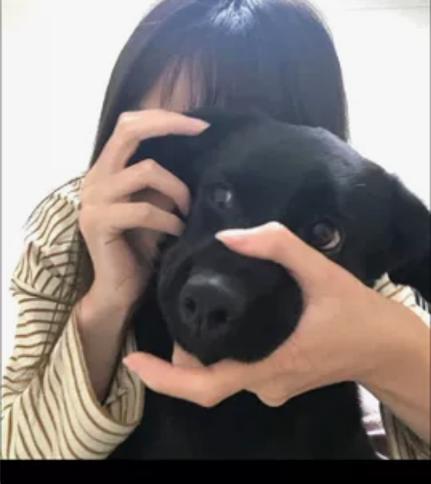 主接CAD/cass测绘的全生态，安装包→...