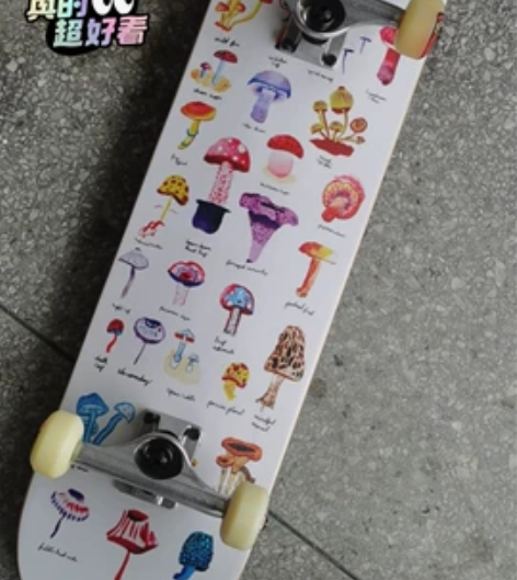 全新新专业进口滑板王一博同款element...