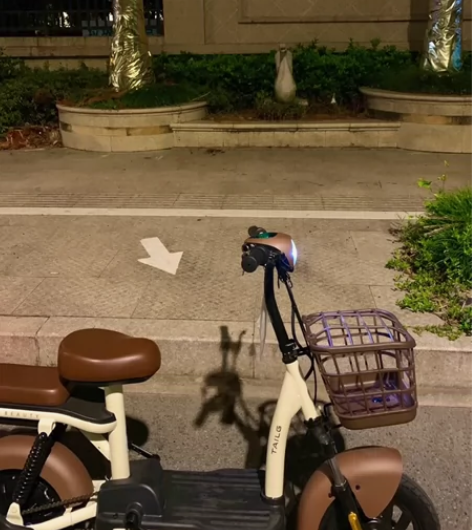 台铃电动车小钢炮 刚买一年骑的次数屈指可数...