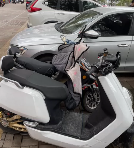 收小牛 预算5000左右南昌自提 感兴趣的...