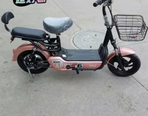 【亏本处理】全新国标48伏12安爱玛同款电...