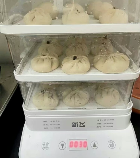 【工厂倒闭】只为了卖运费钱，全新新飞电蒸锅...