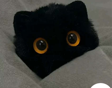 出王牌竞速官服号，有闪灵 催化剂 路虎 等...