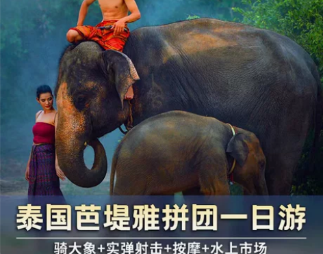 芭提雅一日游骑大象射击体验水上四方市场金佛...