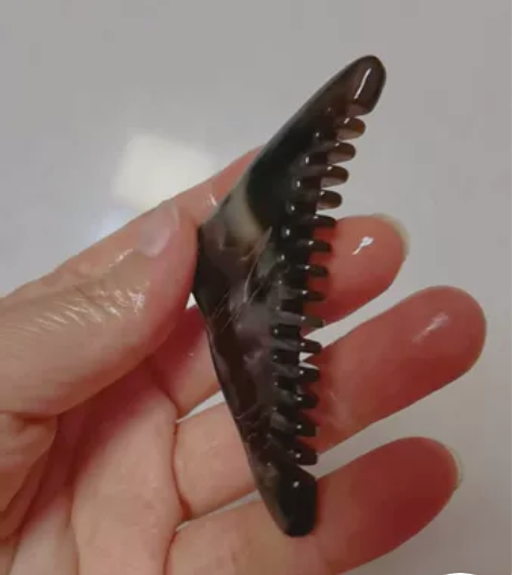 白水黑金刚 按摩梳 脸梳 梳子 尺寸长7....