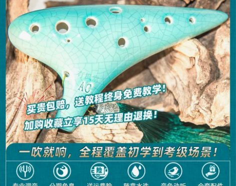 有风堂民族乐器初学普及十二孔12孔AC中音...