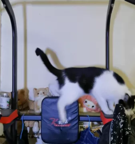 单杠室内家用引体向上器单杆双杠卧推深蹲架落...