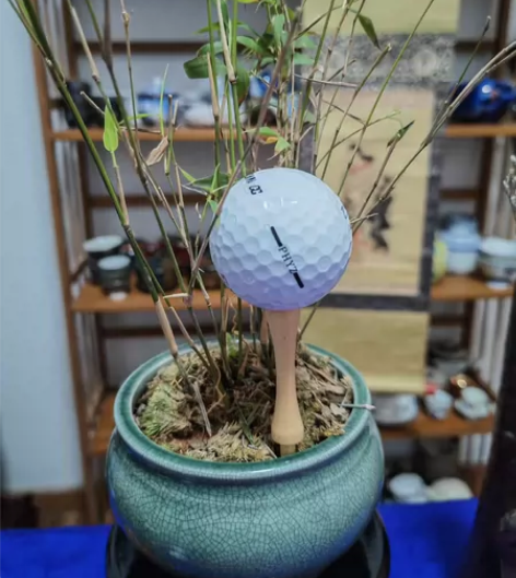 全新PHYZ高尔夫球。高尔夫球3个，球架等...