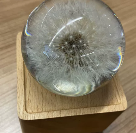 蒲公英标本水晶球蓝牙音箱小夜灯 原价399...