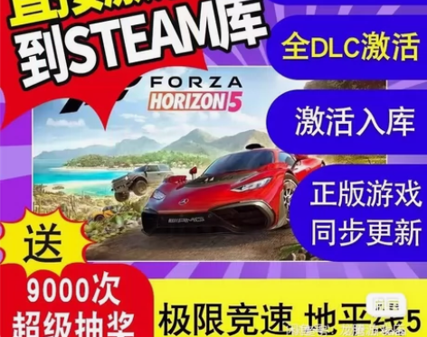 地平线5  正版游戏激活码买5送4包教包会...