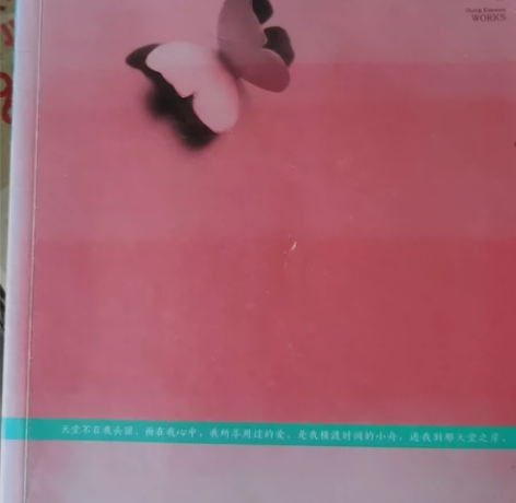 很有趣的闲时读物张小娴随笔散文4册 感兴趣...