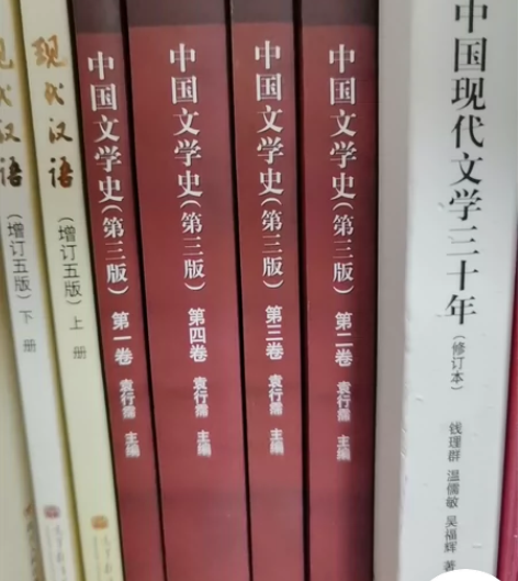 包邮中国文学史袁行霈4卷本 第一本有划线 ...