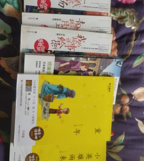 共6本，书有《小英雄雨来》》《童年》》《我...