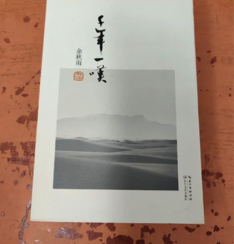 正版二手 千年一叹 便携本 余秋雨 长江文...