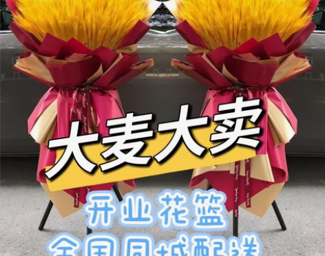 深圳开业花篮——大麦大卖,大麦开业花篮大麦...