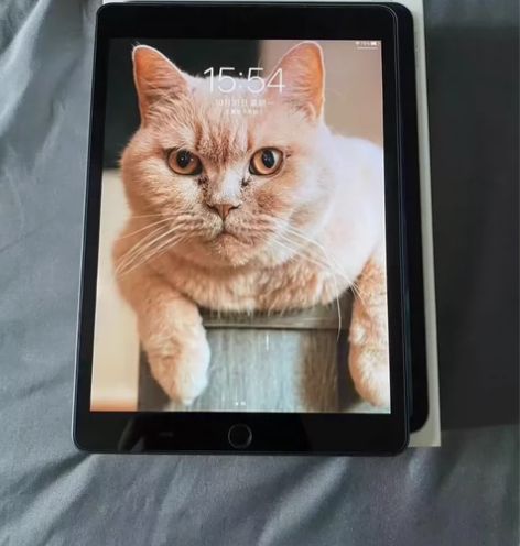 【代闺蜜出 Apple/苹果 iPad 8...