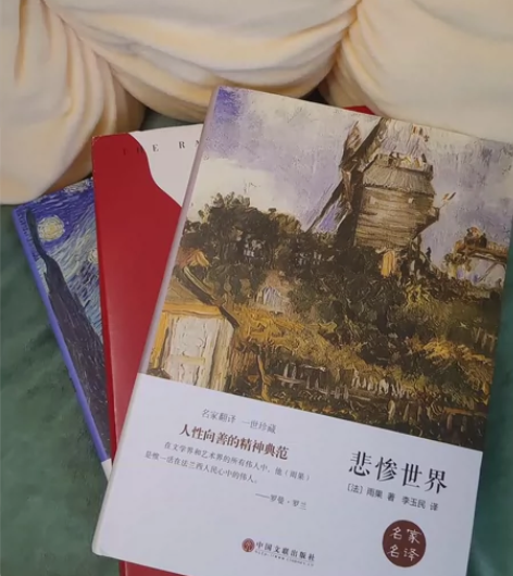 悲惨世界，哲学书籍，值得阅读！ 闲置书籍，...
