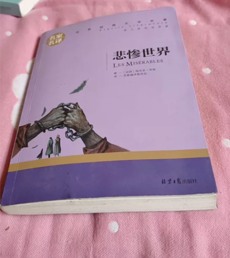 悲惨世界 感兴趣的话点“我想要”和我私聊吧...