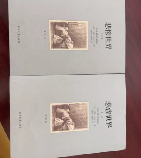 悲惨世界上下册，正版，全新。 感兴趣的话点...