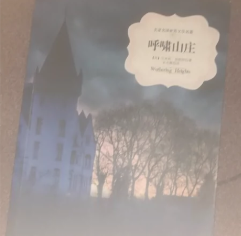 呼啸山庄 感兴趣的话点“我想要”和我私聊吧...