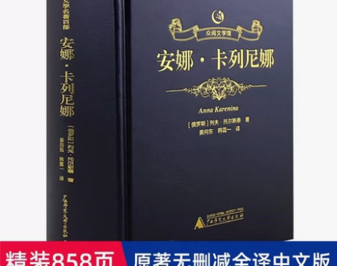 【以家人之名电视剧推荐】安娜卡列尼娜正版书...