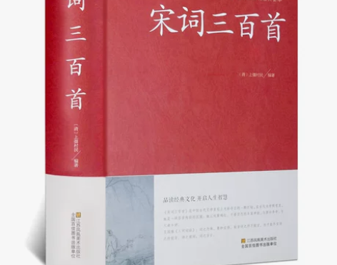 宋词三百首 宋词三百赏析首小学版正版中华国...