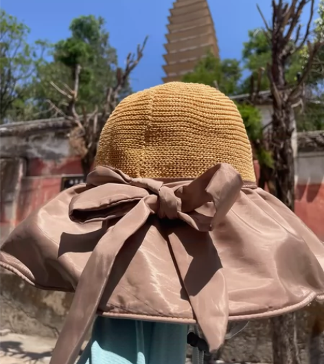 防晒帽，10块包邮，全新的 感兴趣的话点“...