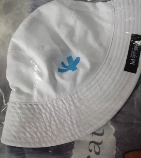 白色渔夫帽，公司发的奖品，白色加蓝色图案比...
