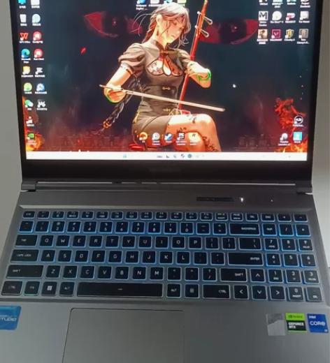 机械革命极光pro 4060笔记本 165...