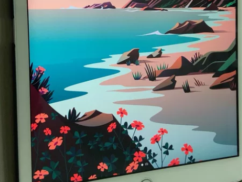 iPad2020款平常自己在家用来上上网课...