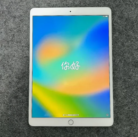 可带笔出，自用iPad 2021款256G...
