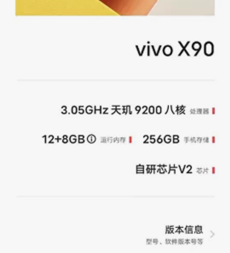 自已用的vivo X90 12+256GB...