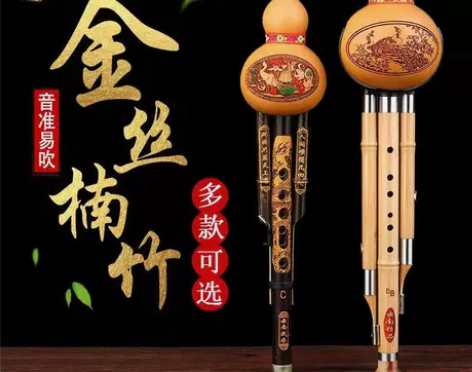 葫芦丝 葫芦丝初学云南天然乐器降B调c调胡...