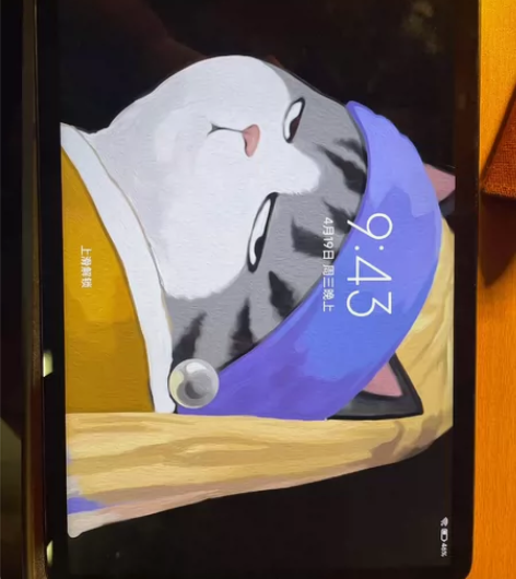 小米平板5pro，屏幕好，自用 6+128...