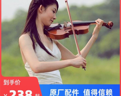进口实木小提琴初学者手工专业级儿童成人乐团...
