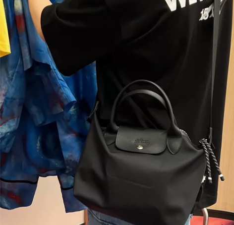 珑骧long champ energy环保...