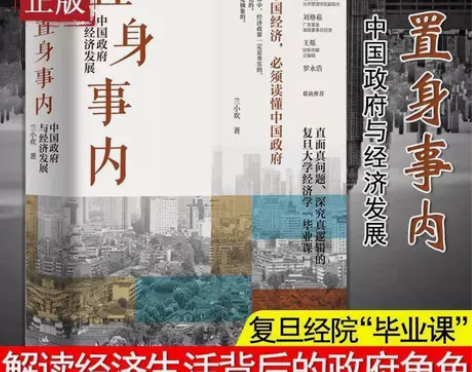 置身事内 中国政府与经济发展 兰小欢著 经...