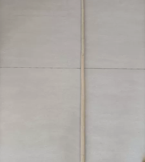 六道木降龙木，长130公分，大头2.7，小...