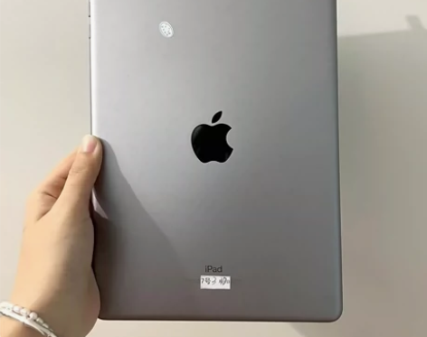 带笔一起出个人闲置 女生自用iPad201...