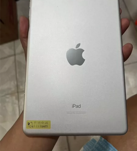 出 iPadmini5（2019款）256...