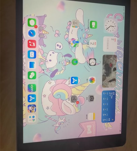 ipad2020 国行 灰色32g 基本全...