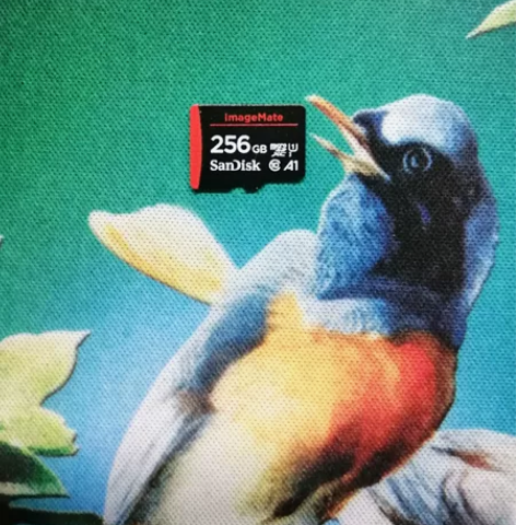 闪迪imageMate内存卡  高速256...