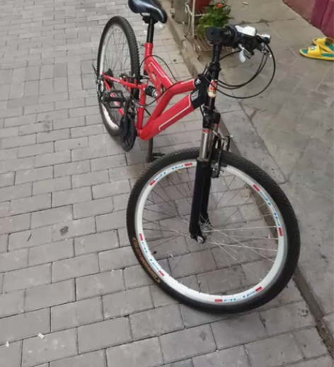 上海永久调速赛车9成新,转给爱运动的识物者...