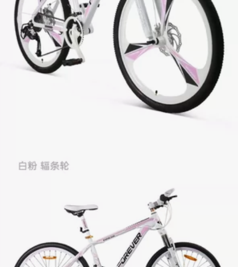 永久自行车刚入手两个月骑行不超过10㎞现低...